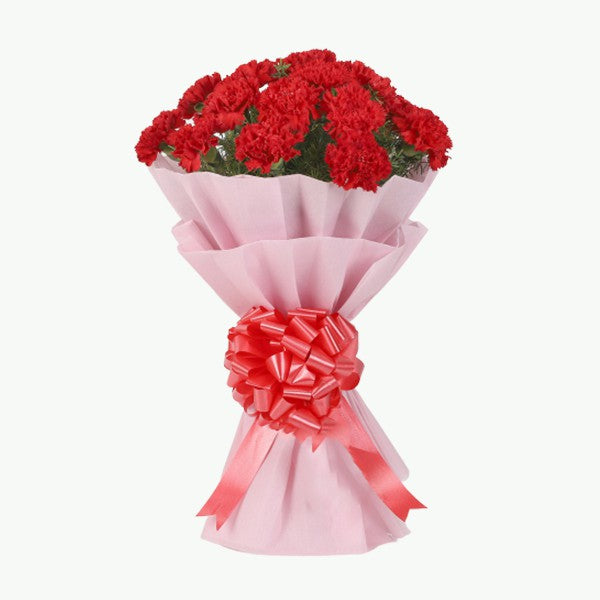20 Red Carnations Bouquet in Pink Paper