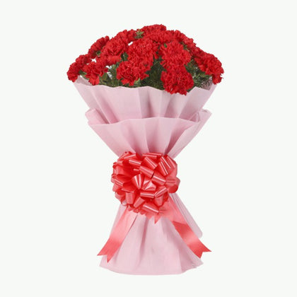 20 Red Carnations Bouquet in Pink Paper