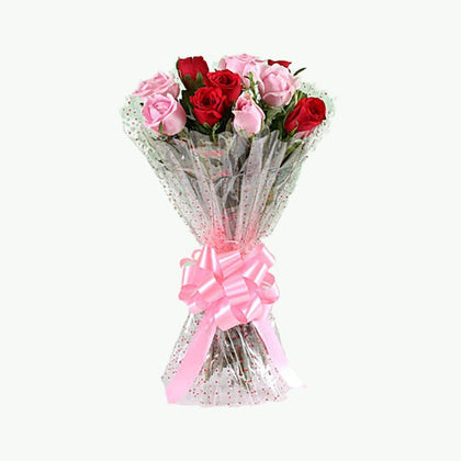 Appealing 10 Red & Pink Roses Bunch