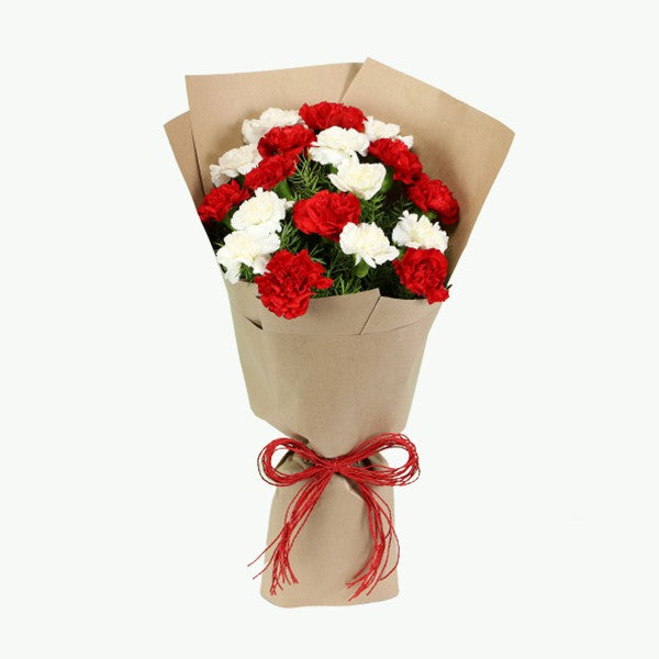 Love & Luck Carnations Bouquet